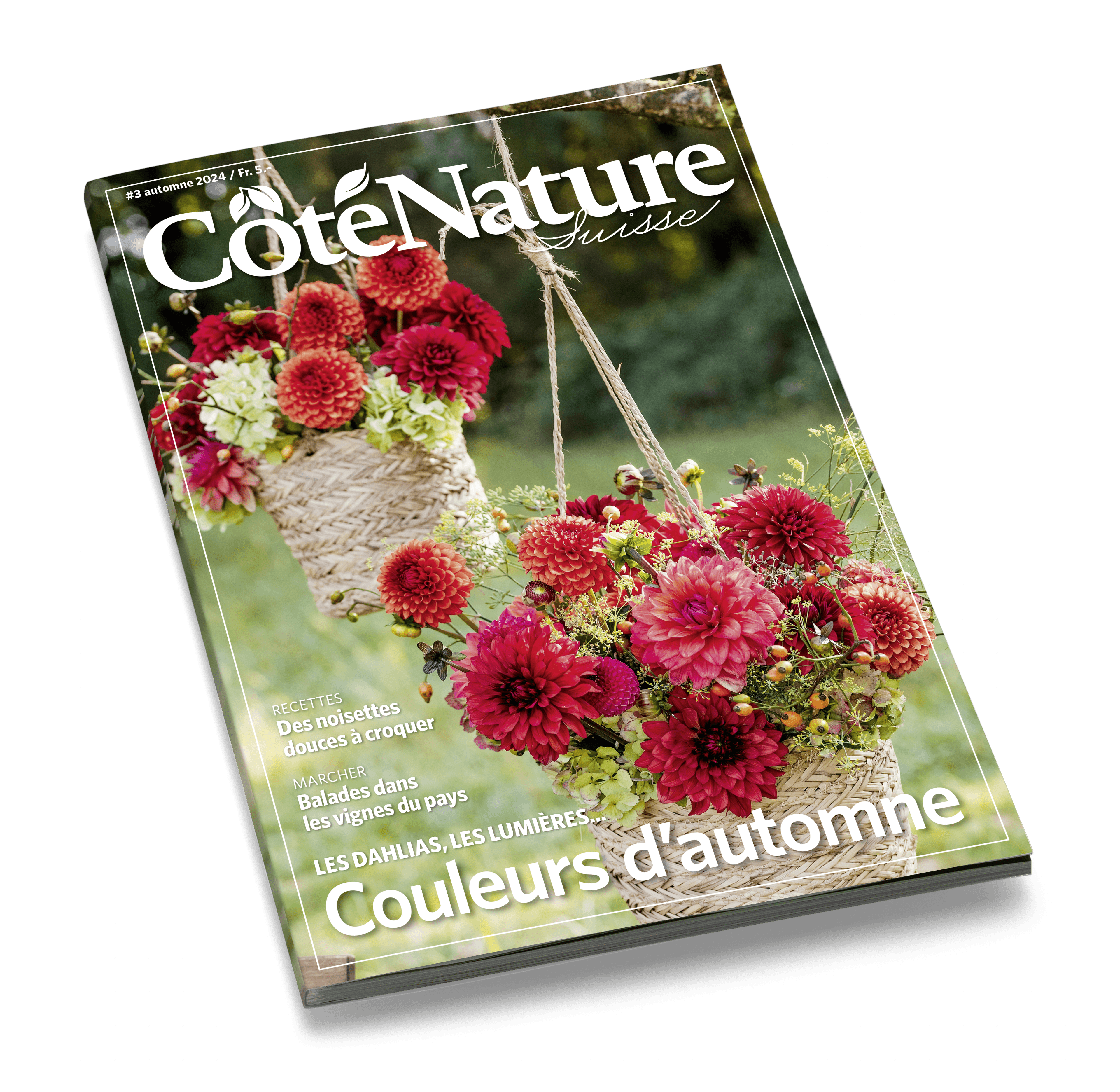 Cover Laying C N03 2024 Couleurs d'automne 2024
