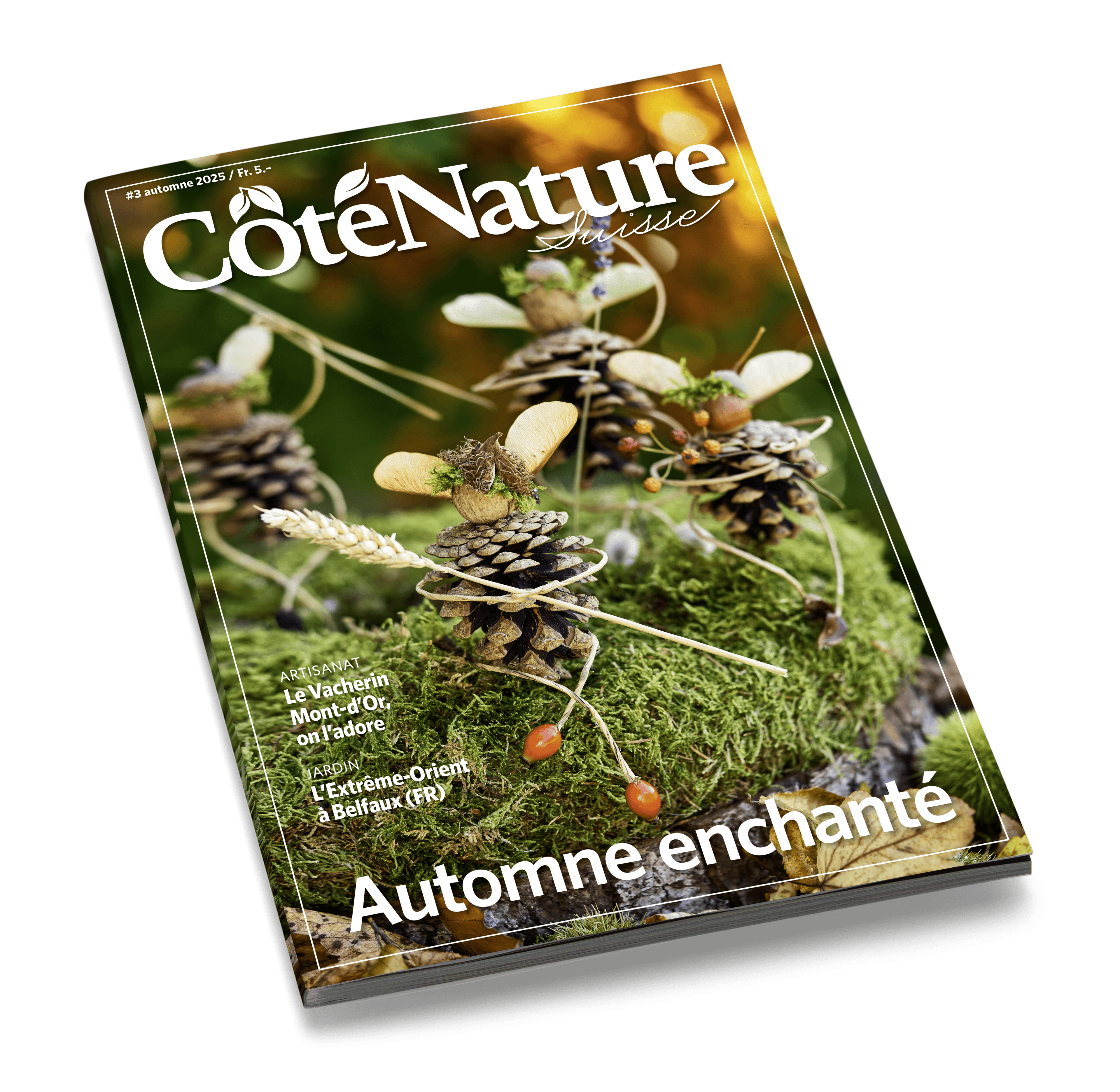 Cover Laying C N03 2025 Automne enchanté 2025
